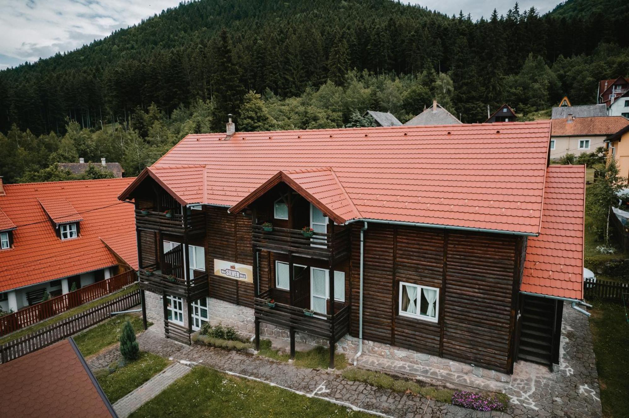 Silver Villa BaileTusnad Eksteriør bilde